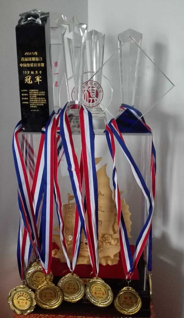 张艺潇所获奖杯