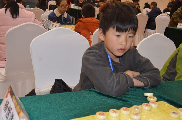 小棋手杨恬浩 小棋手杨恬浩