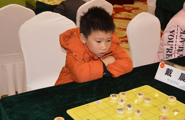 小棋手戴晨 小棋手戴晨